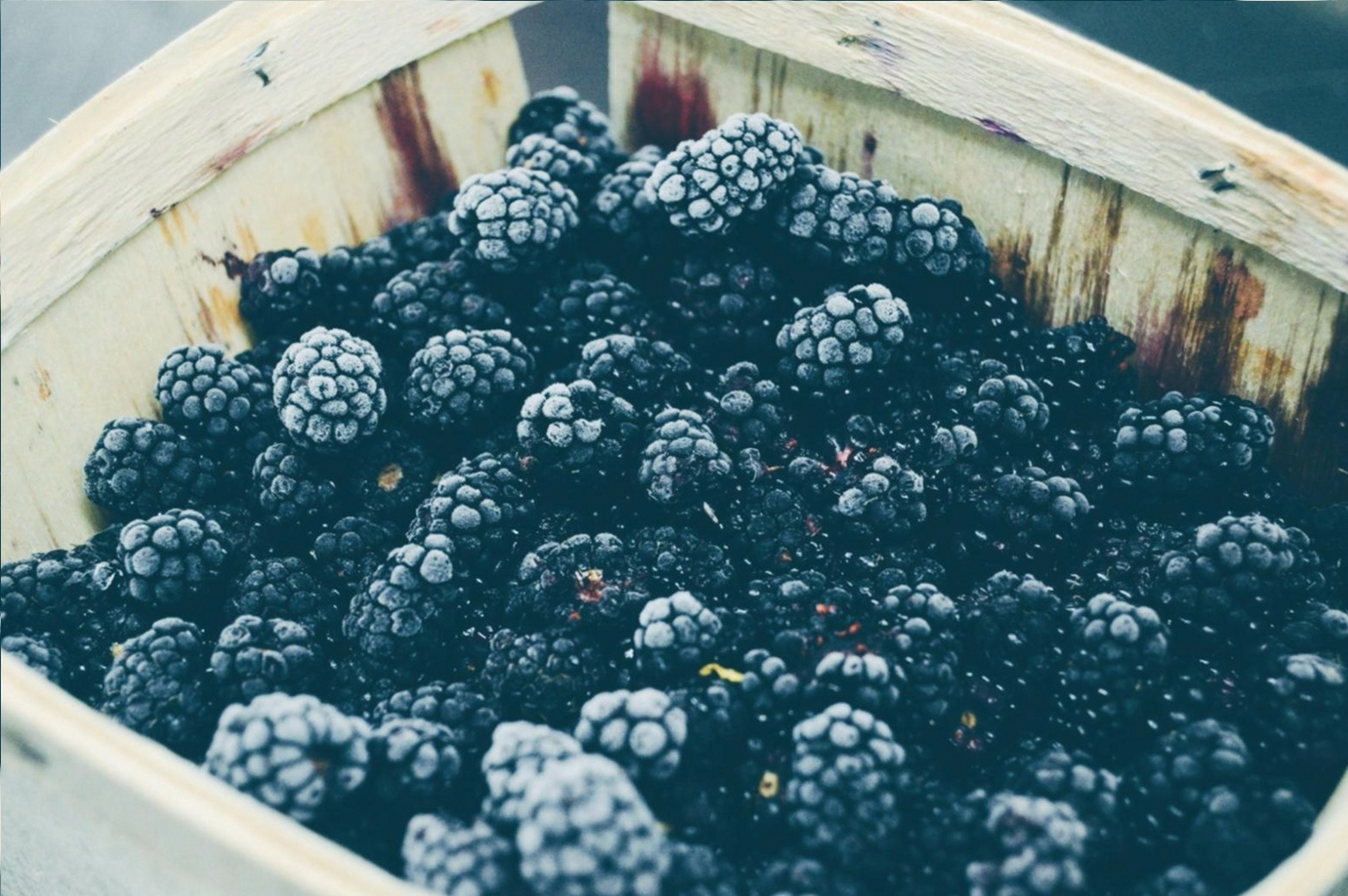 Spring Reset: Eating with the Season
